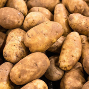 Idaho Potatoes (Price Per Pound)
