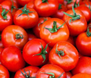 Tomatoes (Local)