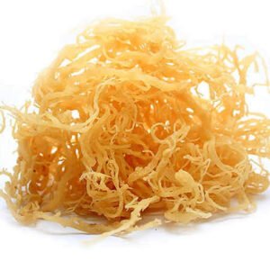 Seamoss (Golden)