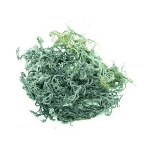 Seamoss (Green)